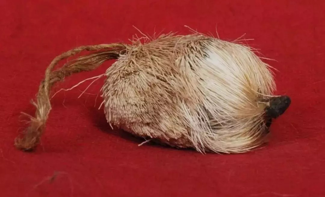 ?不想胎停育遠離這些初次有孕必看