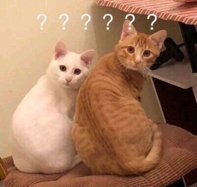 “引導”你會嗎？