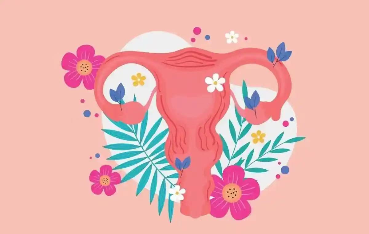 孕媽小知識|怎樣保護子宮健康？