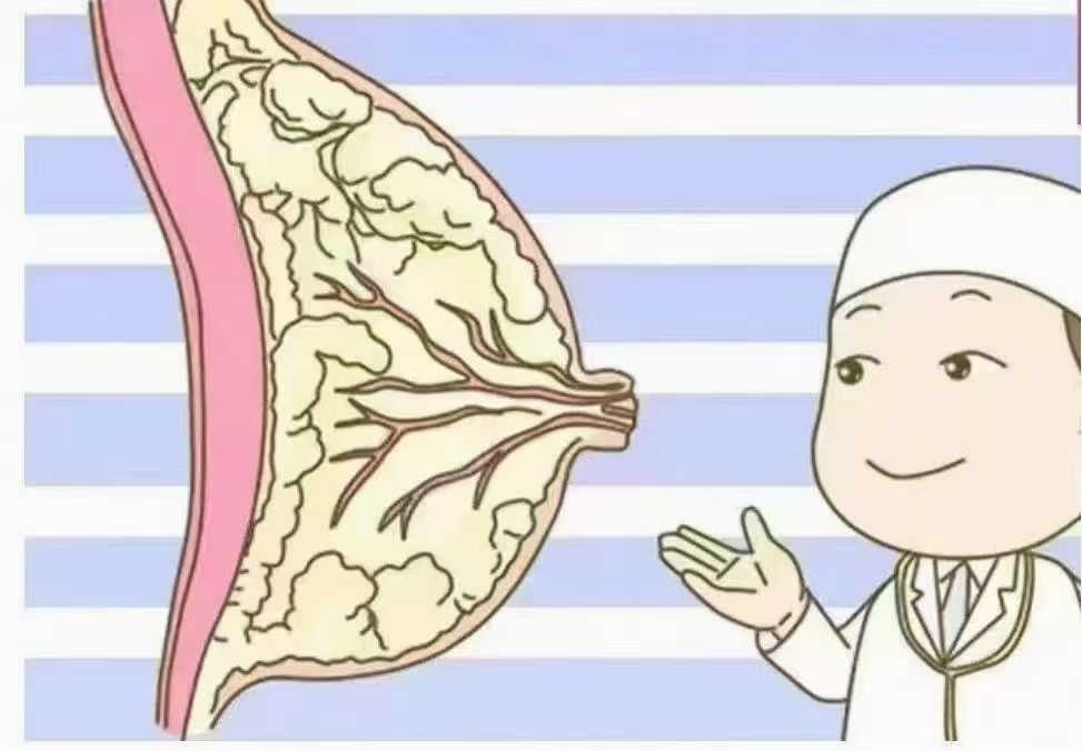 6步疏通奶結(jié)，告別乳房脹痛，月嫂必學(xué)！