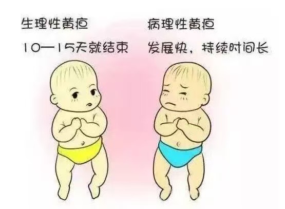 新生兒常見10種生理現(xiàn)象與7大護理要點！月嫂上崗前必讀！