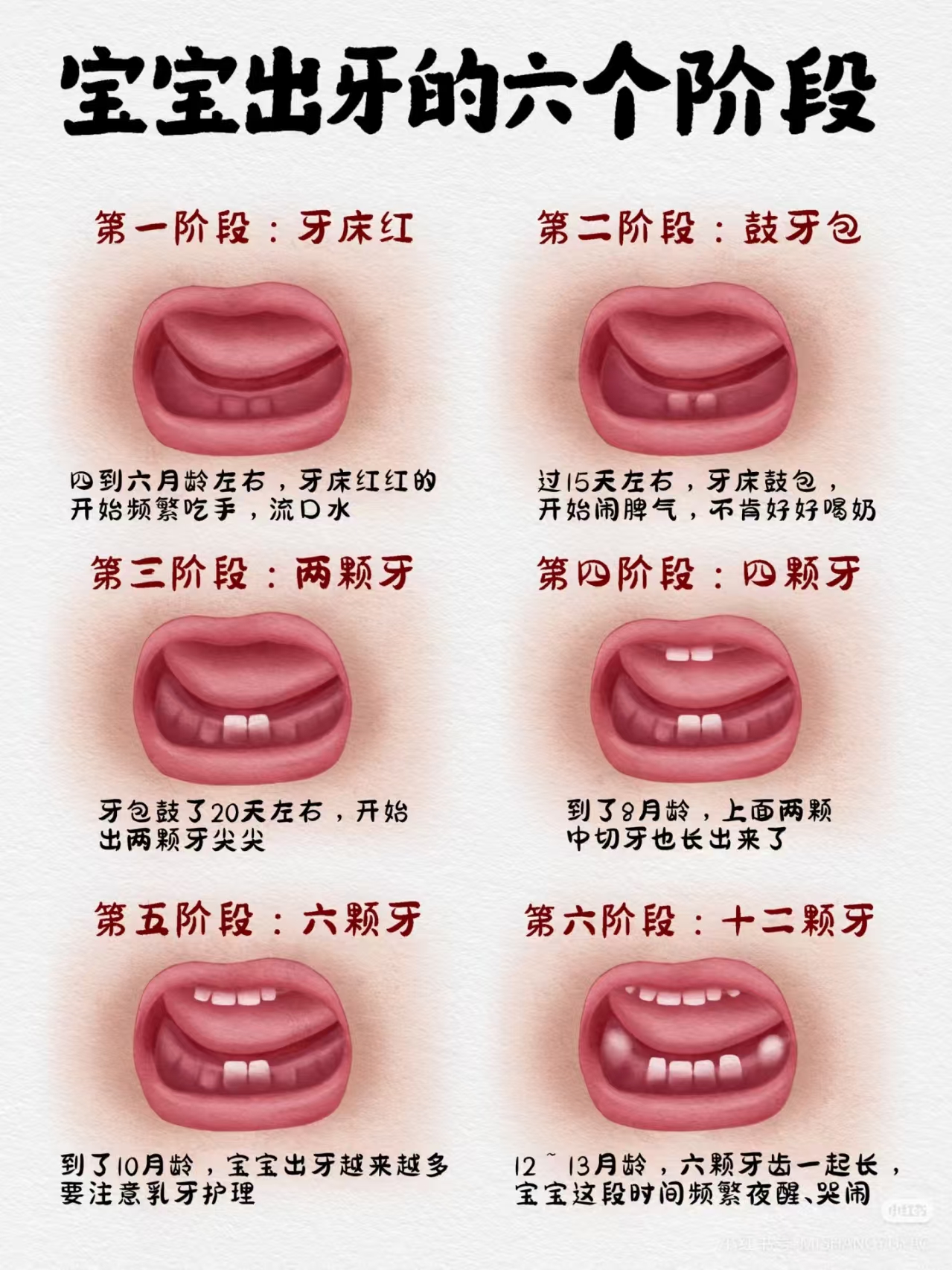 寶寶出牙的六個階段